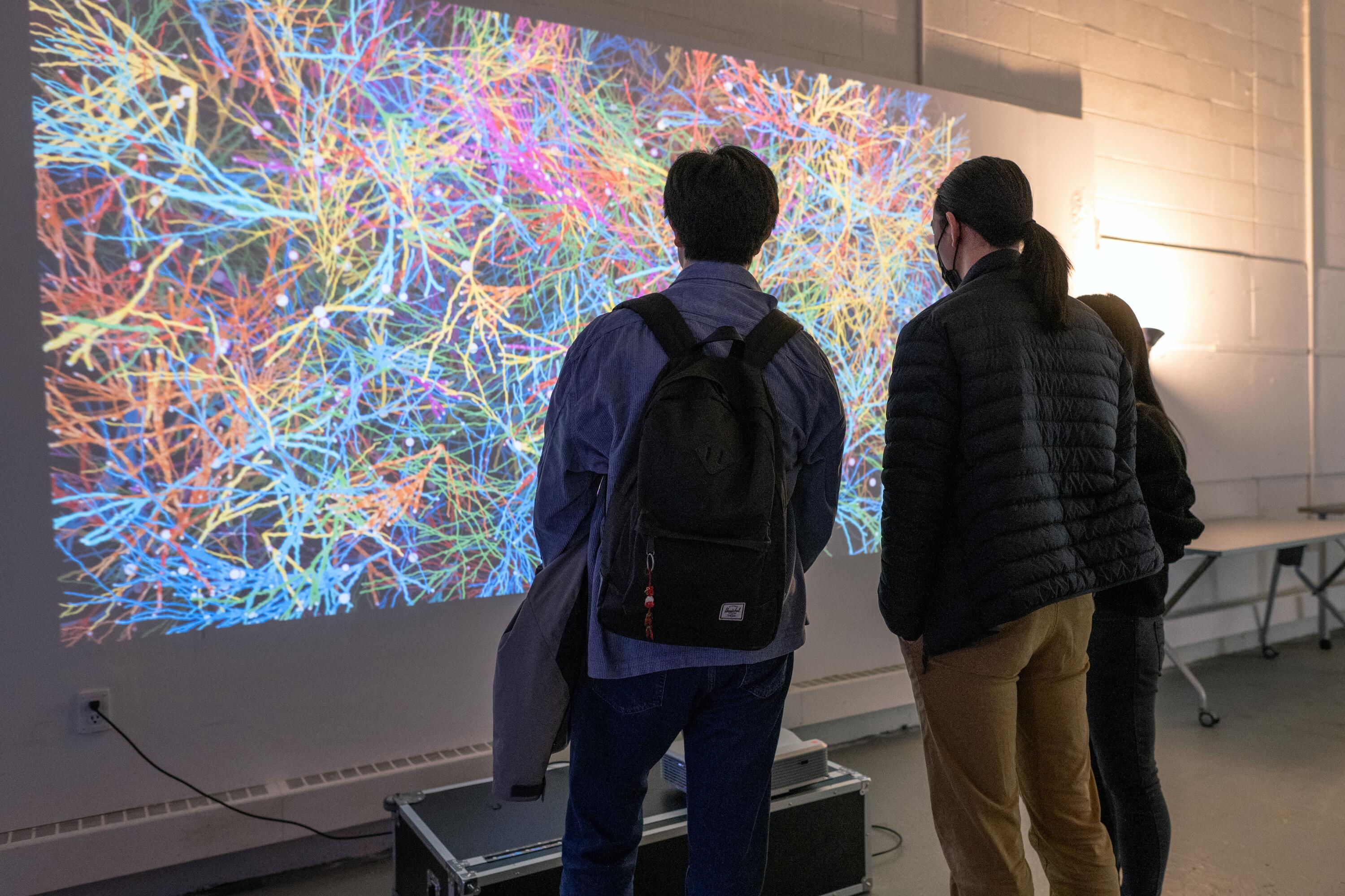 green, magenta, blue, yellow and orange) spreading across the canvas. Kinda looks like a 3D computer-generated brain mapping