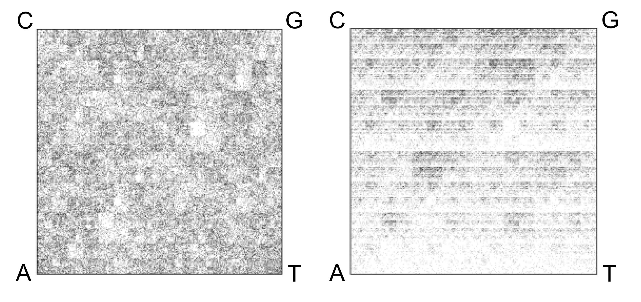 Left: FCGR of fragment of genome of bacterial microbe; right: FCGR of fragment of genome of archaeon microbe