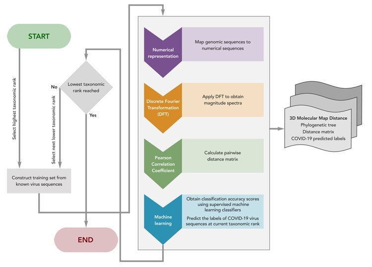 Machine learning combines with DSP, resulting in successions of increasingly accurate classifications of the COVID-19 viral genome